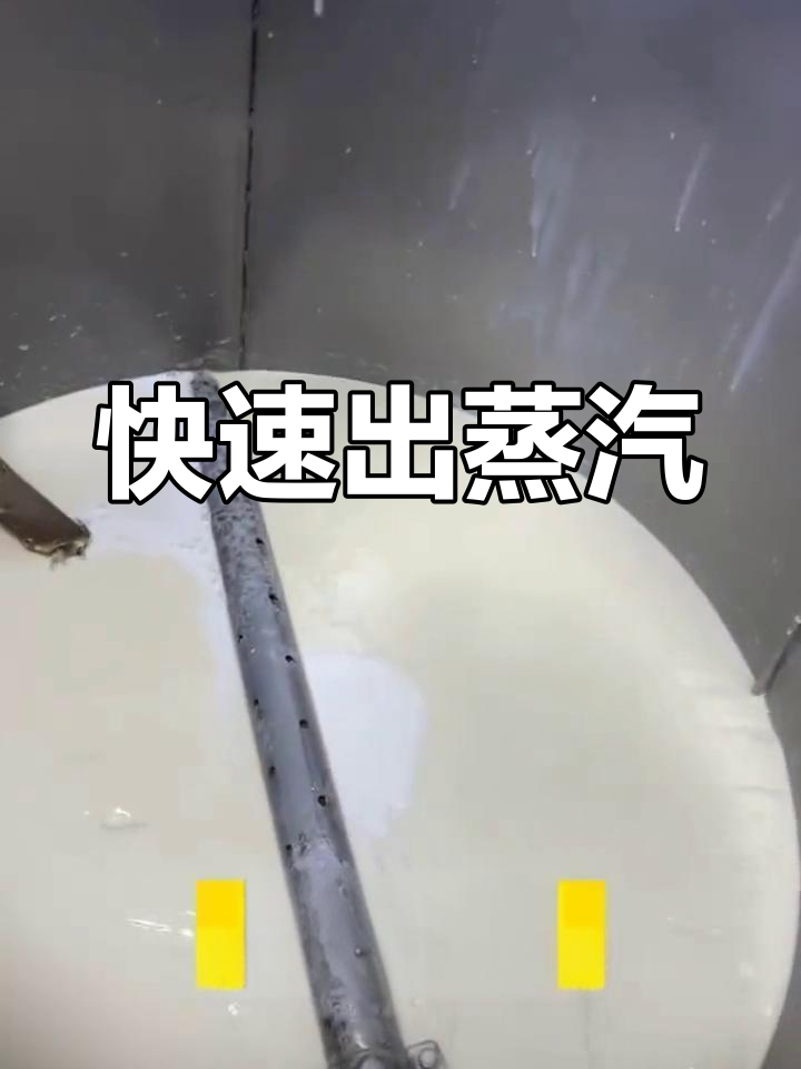 电加热蒸汽发生器,高效煮豆浆