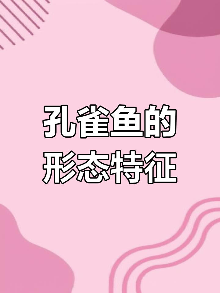 孔雀鱼的外形与习性解析