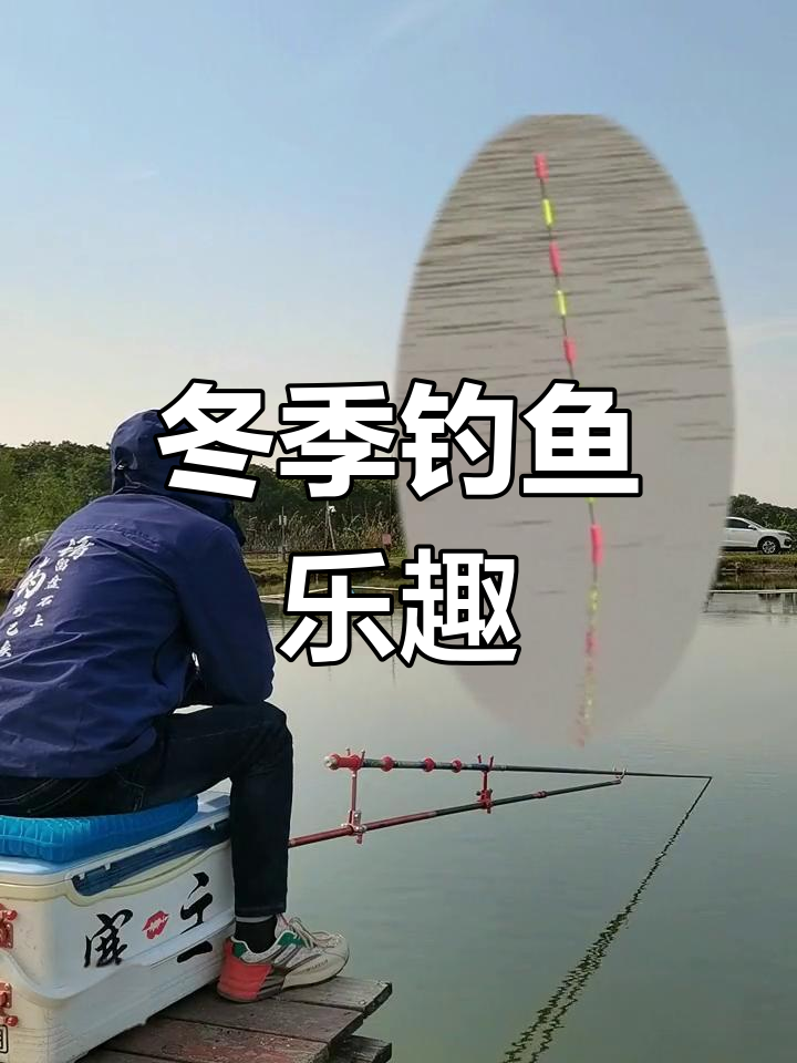 立冬临近,无铅钓青鱼依旧刺激,瞬间拉竿,鱼儿挣扎有力