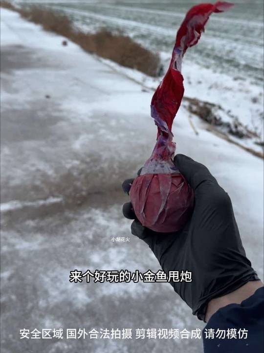 童年回忆小金鱼