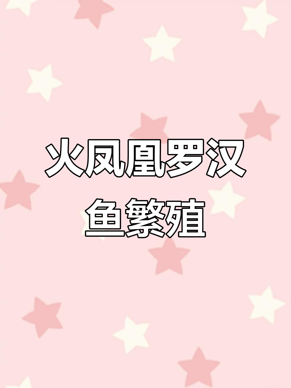 罗汉鱼繁殖日常，火凤凰与泰金罗的奇妙故事