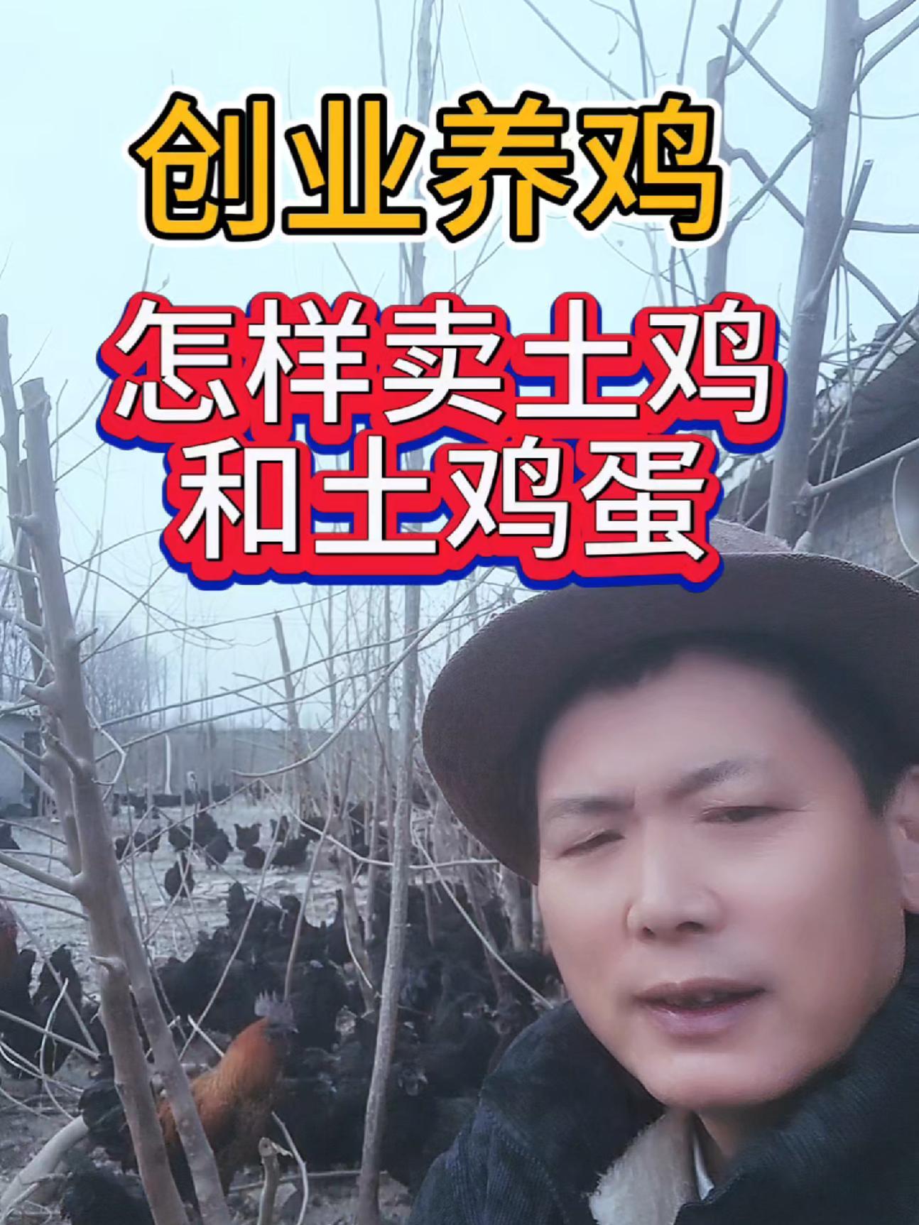 返乡创业养鸡,很多人怕的两个问题,一是怕养不好,成活率不高,老生毛病,二是养好了怕卖不出去