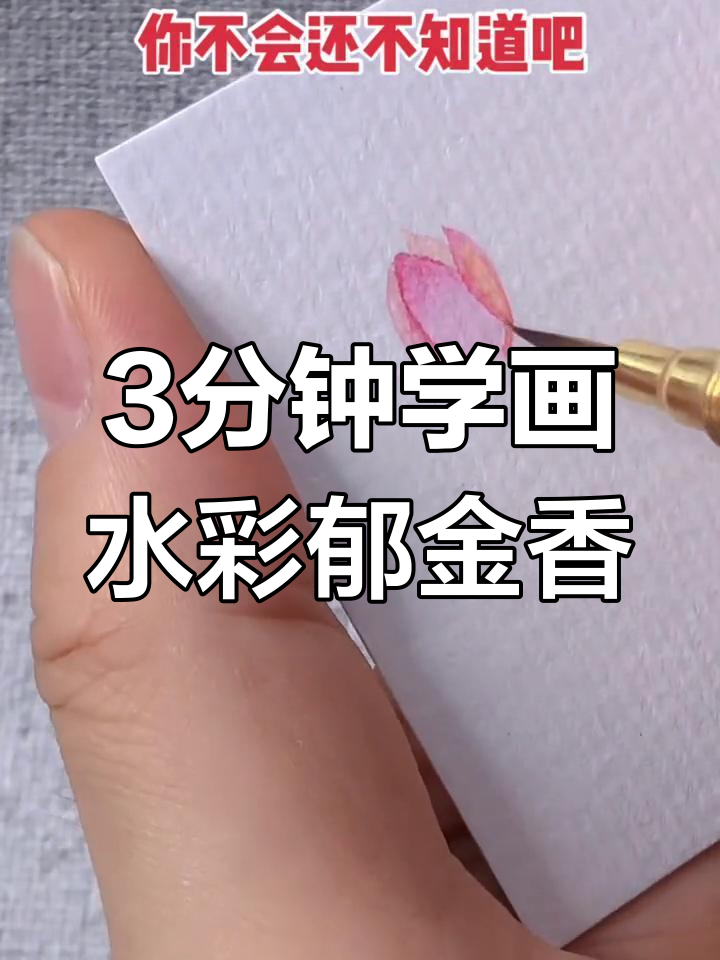 三分钟快速画水彩郁金香,简单又好看