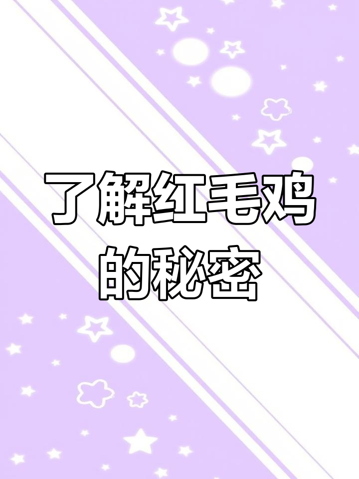 红毛鸡:神秘鸟类揭秘,美丽与时尚并存
