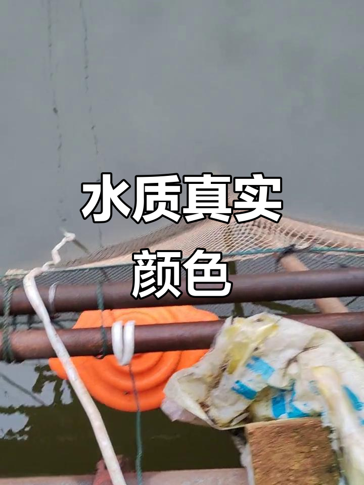 四川降温,鱼塘水色实拍!