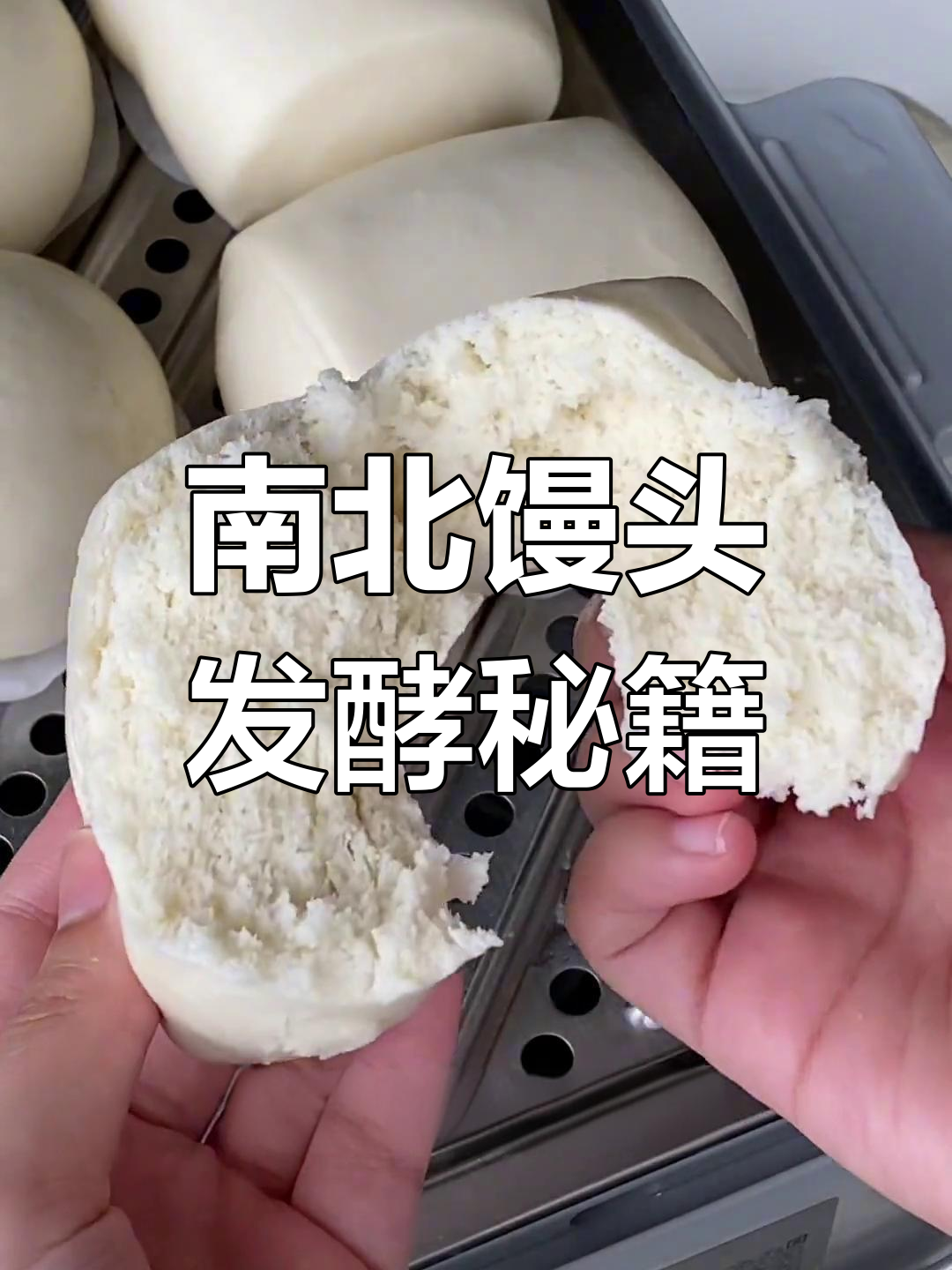 南北方馒头大比拼,口感差异惊人!蒸锅发酵秘诀分享