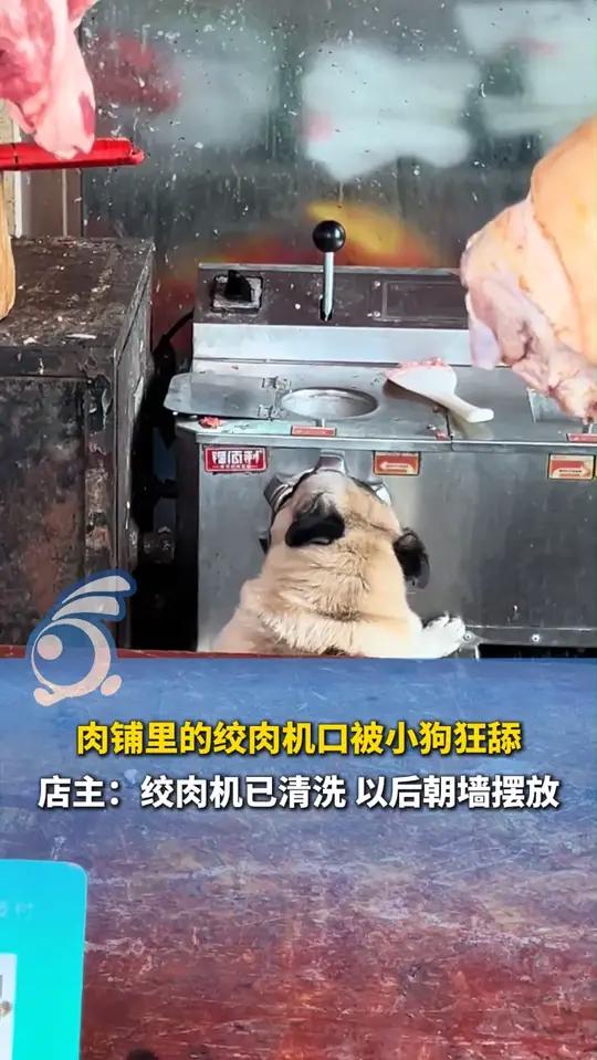 肉铺里的绞肉机口被小狗狂舔,店主:绞肉机已清洗 以后朝墙摆放