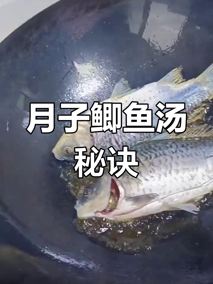 煮鲫鱼时,记得去牙齿,月子里少放姜,汤更鲜美营养