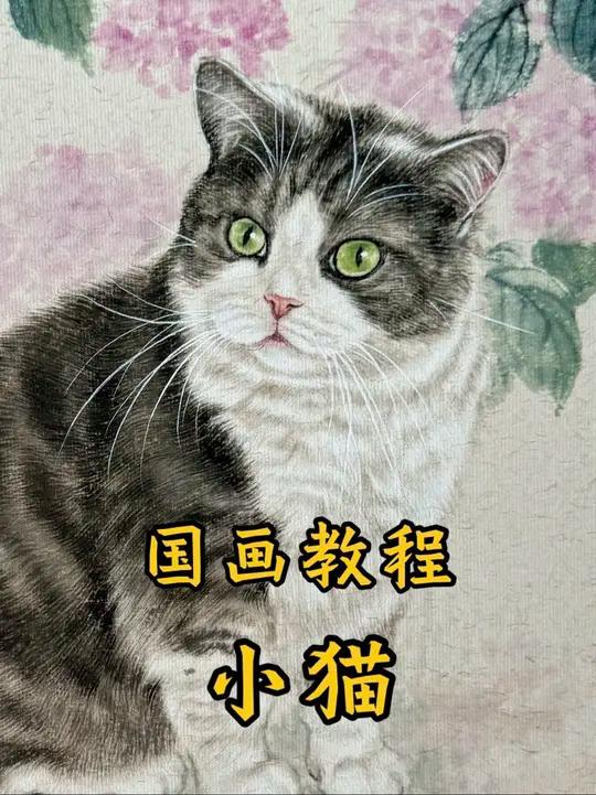国画小猫教程来喽 一起来画
