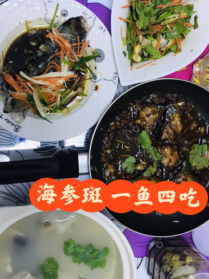 享受海参斑的美味