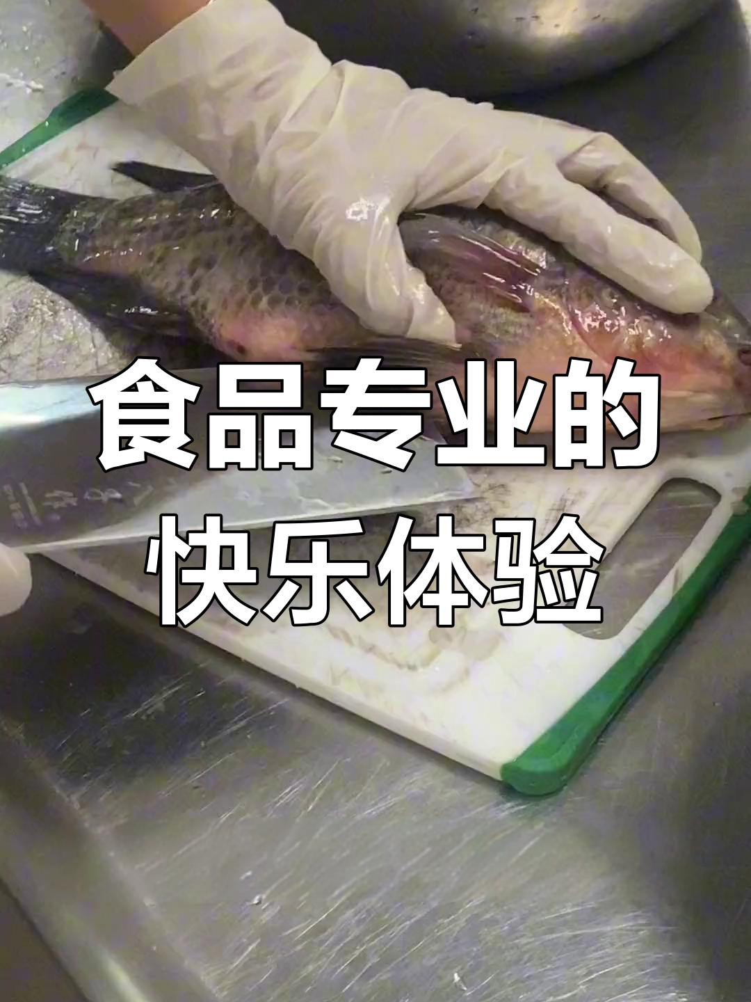 食品专业日常:解剖鱼、做实验,乐趣多多