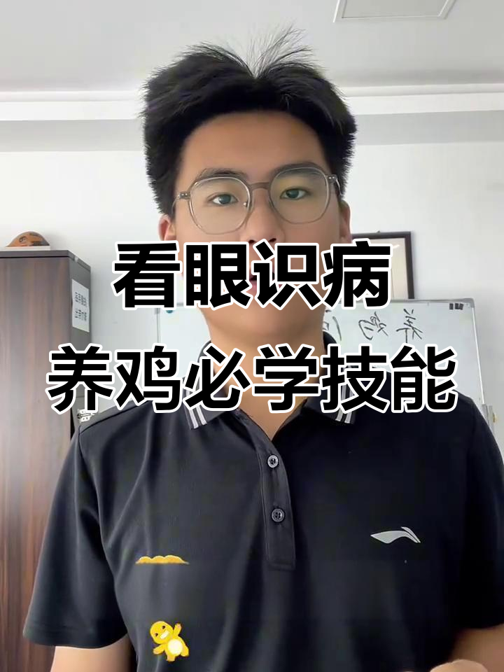 鸡眼睛能告诉你什么?学会这些技巧,轻松判断十种疾病