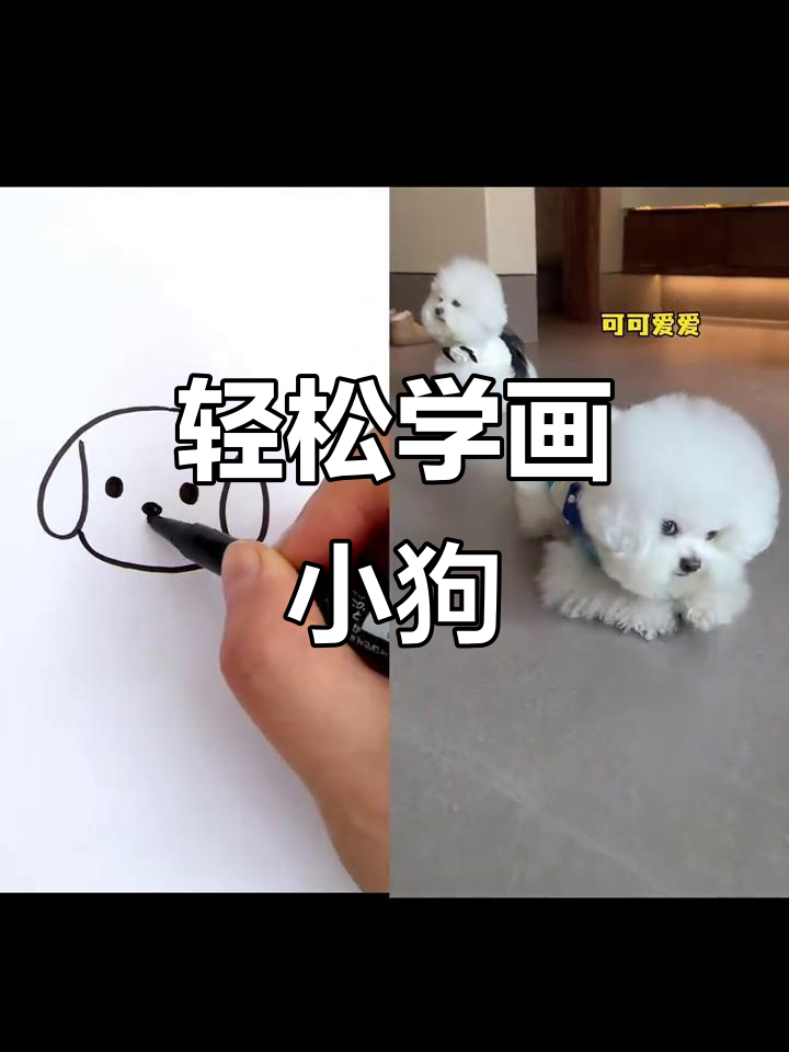 小狗萌态百出,简单又好画