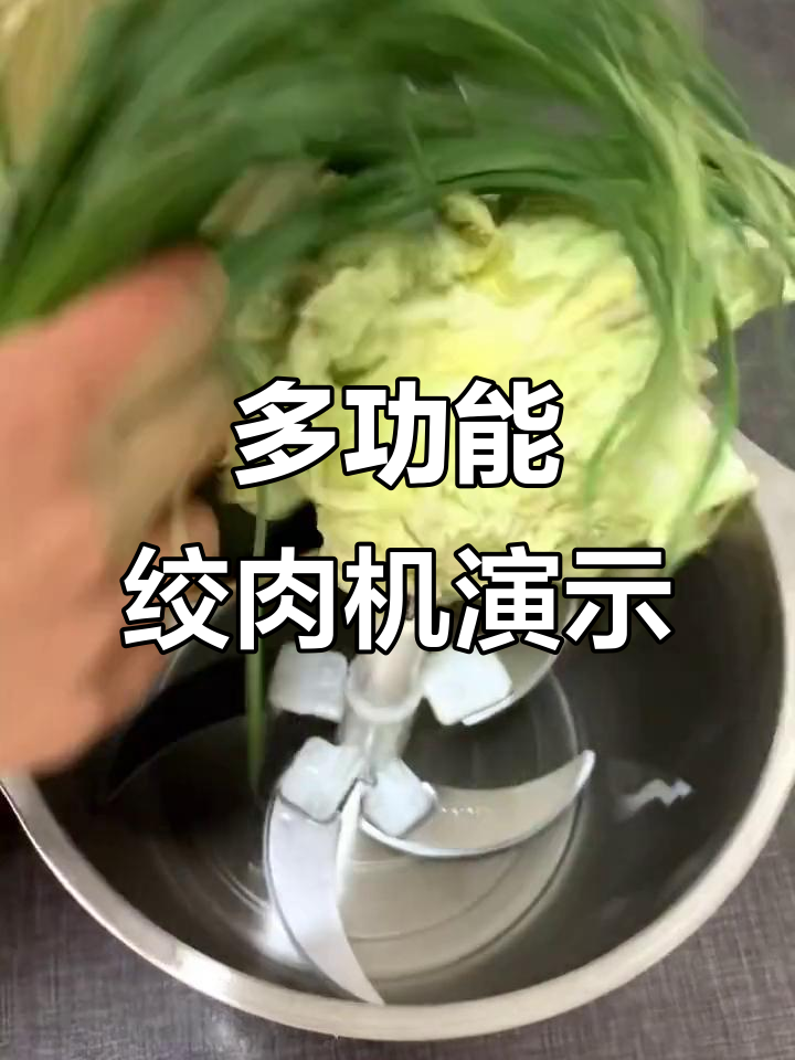 奇鸿绞肉机一机多用,白菜饺子馅轻松搞定