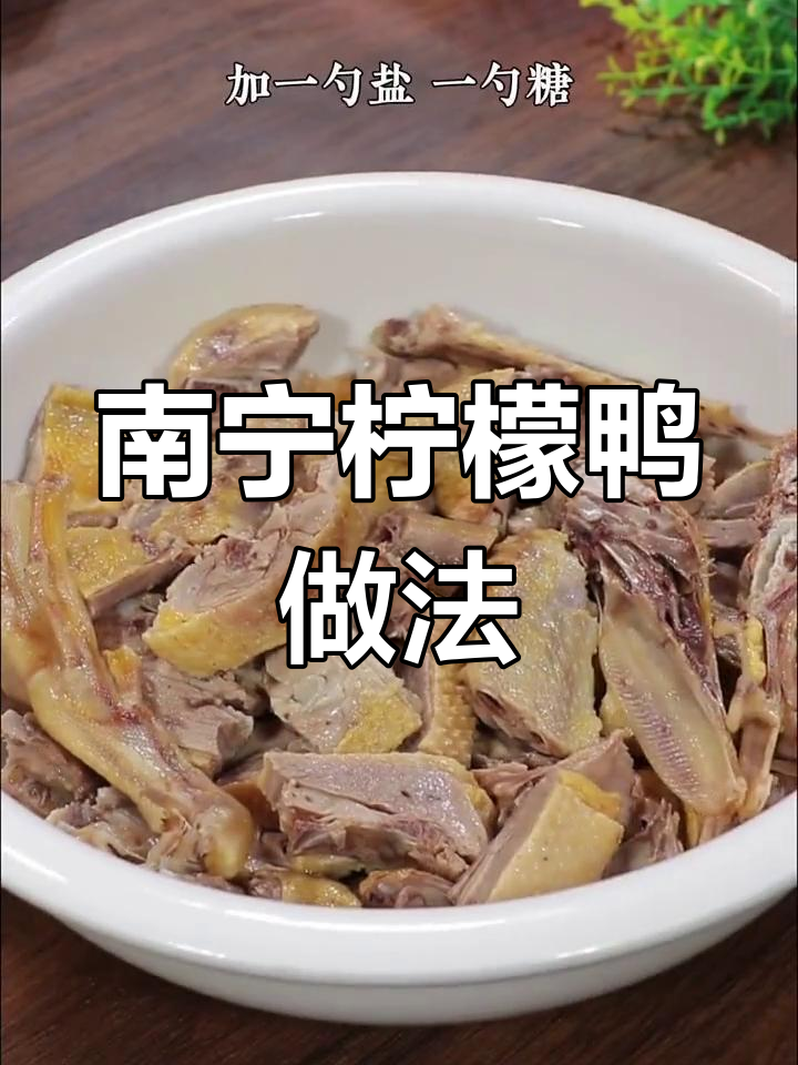 广西南宁凉拌柠檬鸭,酸辣爽口,大人小孩都爱吃