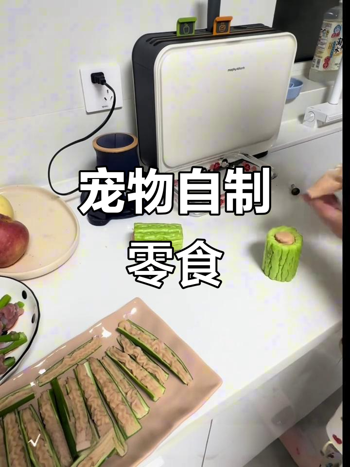 自制狗狗磨牙零食,比熊宝宝超满足