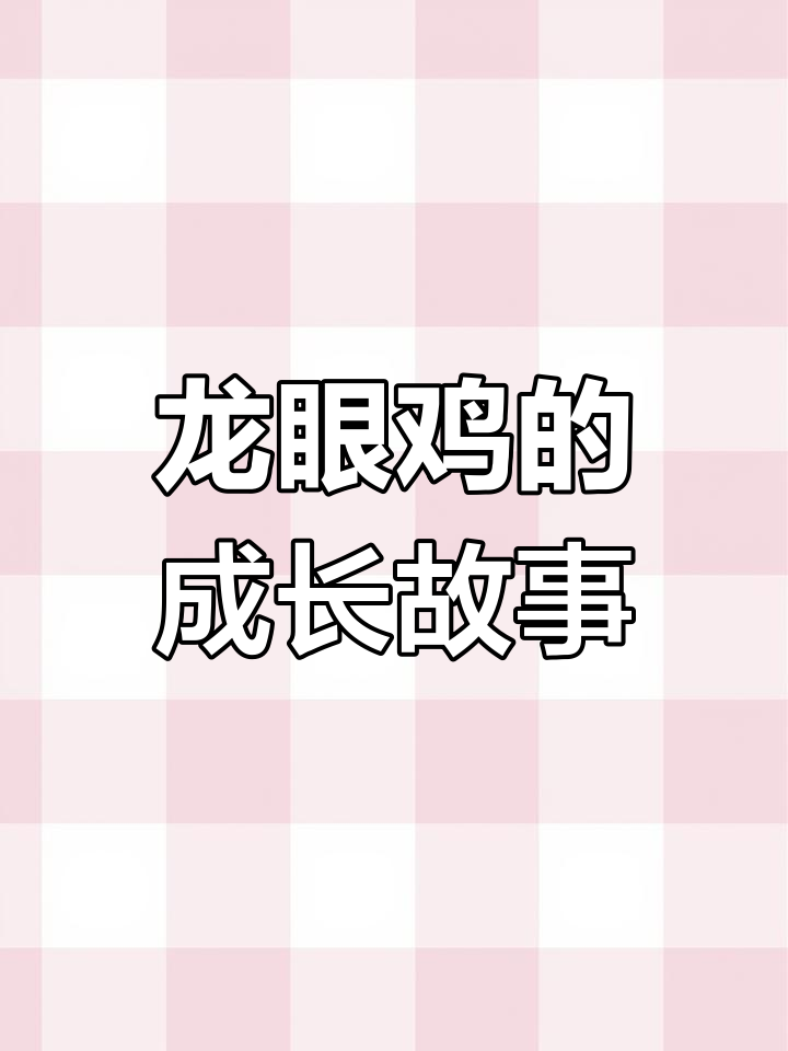 龙眼鸡:从丑小鸭到美天鹅的蜕变,揭秘东方蜡蟾的故事