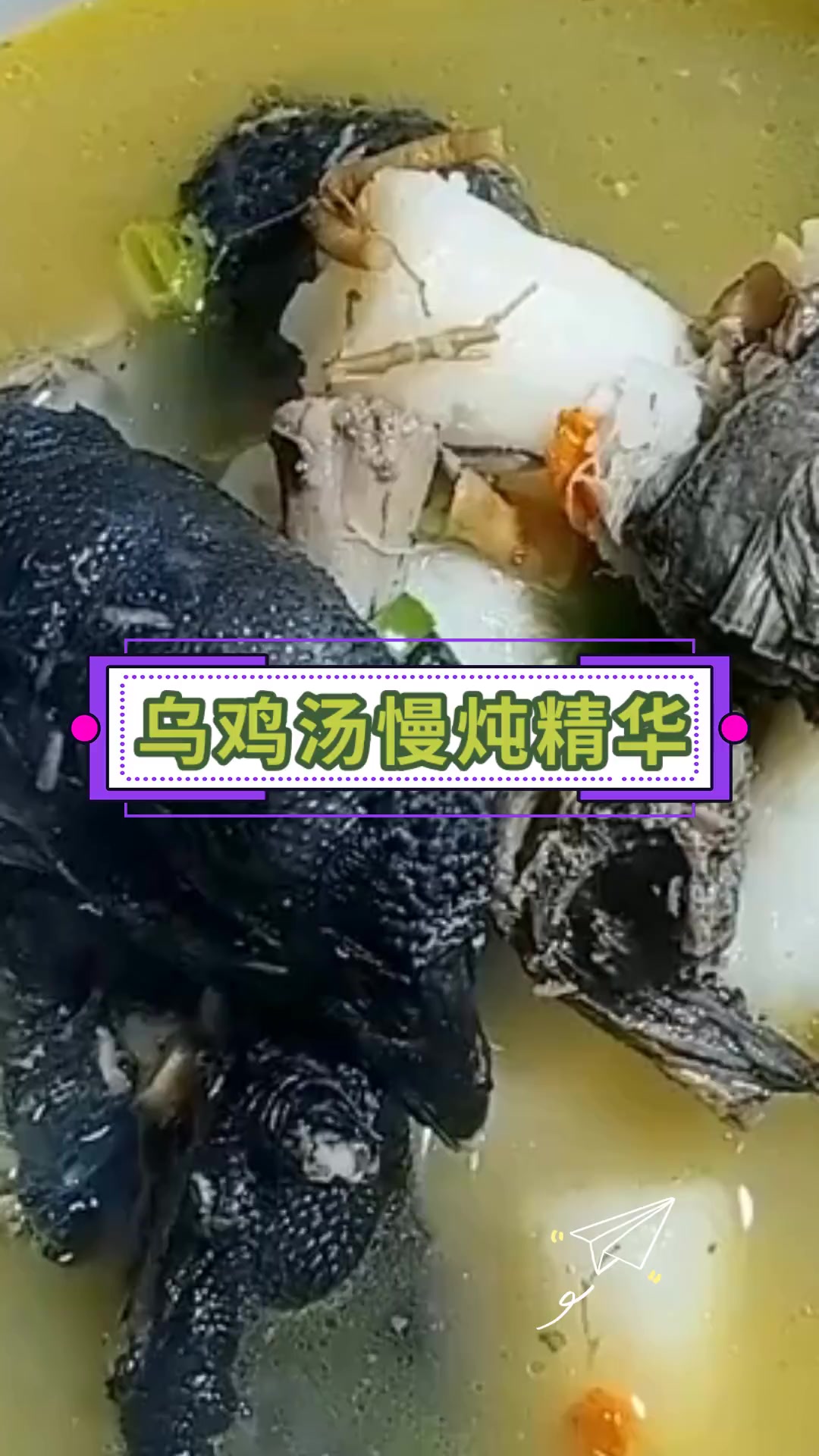 乌鸡汤慢炖精华