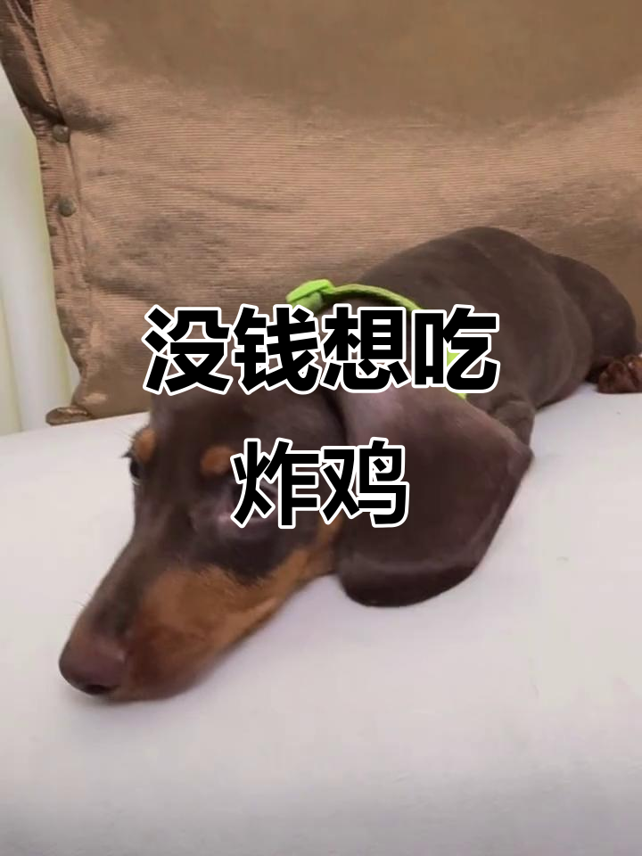 想吃炸鸡喝奶茶,但没钱怎么办?有点小委屈