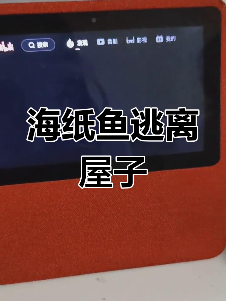 薄海纸鱼逃出奶奶家