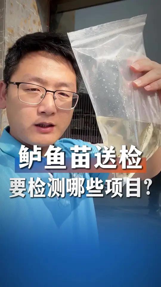 卖苗前要检测，加州鲈鱼苗要检测哪些项目呢？#加州鲈鱼苗 #加州鲈