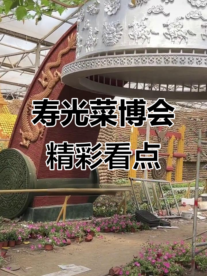 寿光蔬菜博览会:探秘2600个品种与农业科技奇迹
