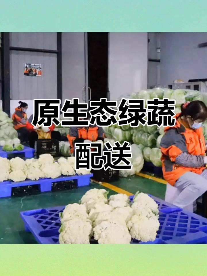 优菜配送:原生态绿色蔬菜,健康美味送到家