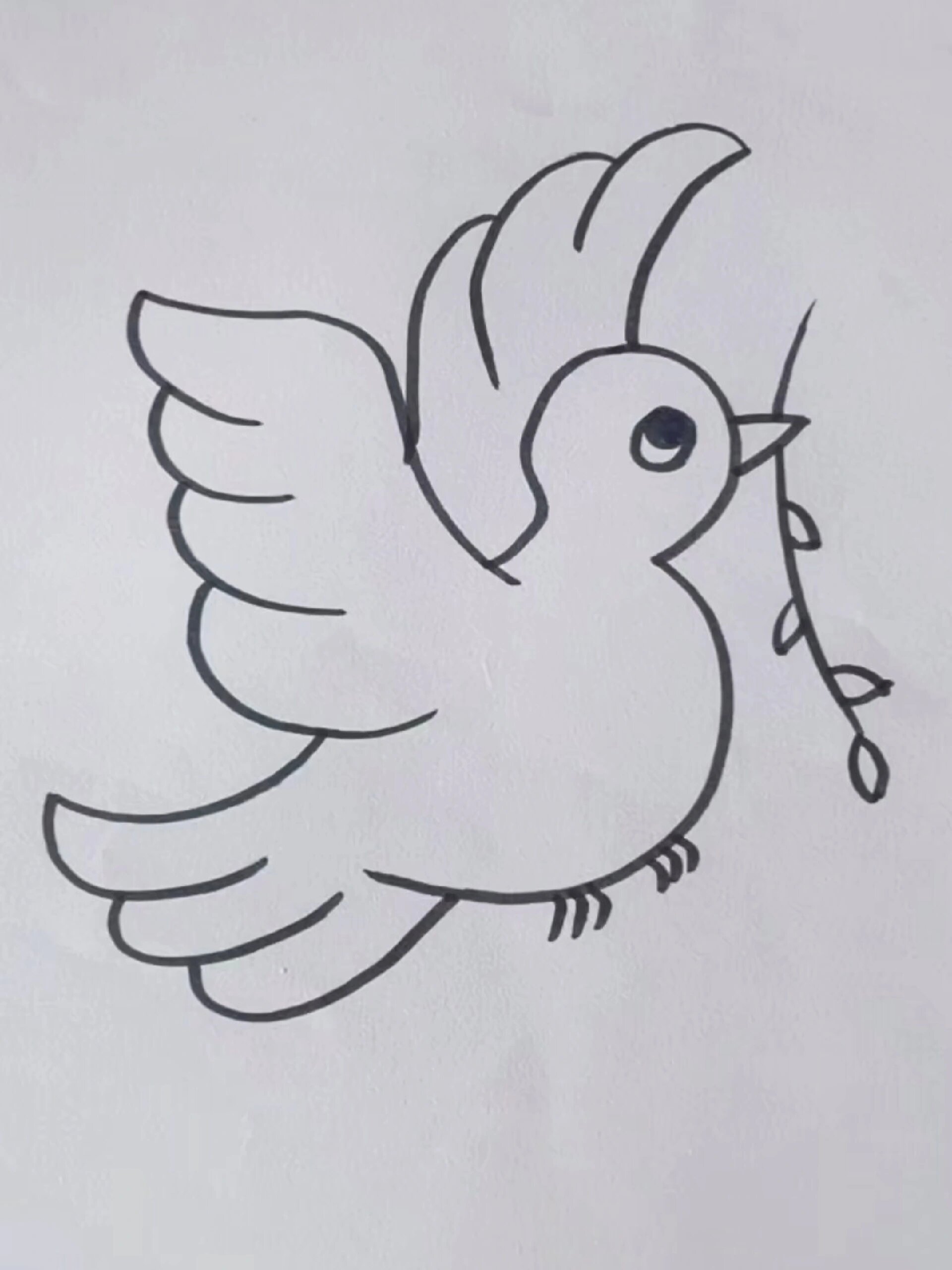 简笔画和平鸽