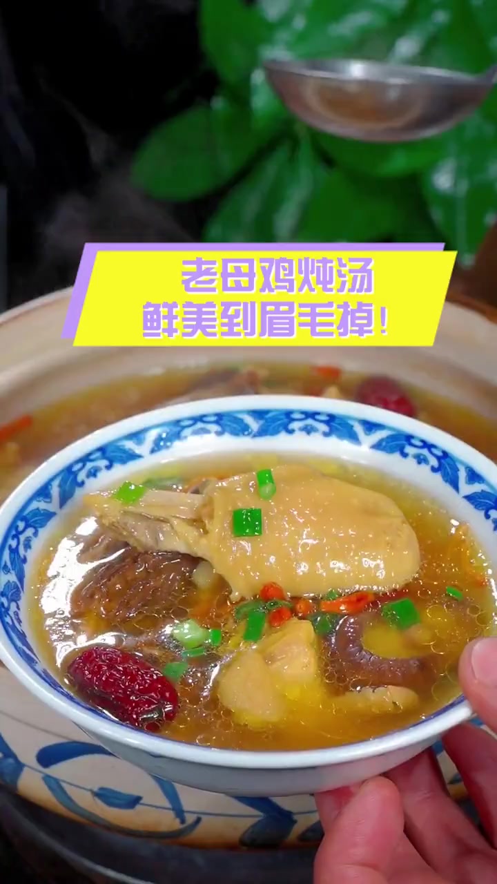 老母鸡炖汤,鲜美到眉毛掉!