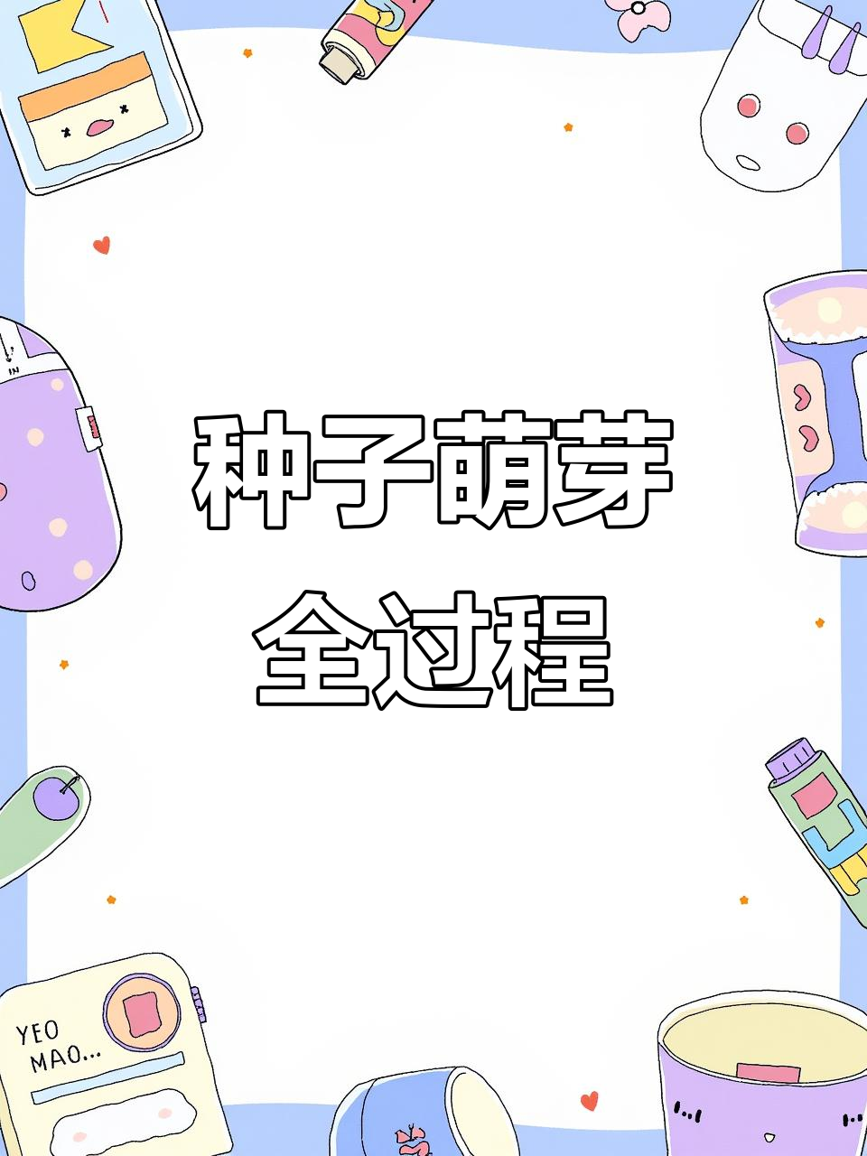 种子萌发的三大阶段,揭秘幼苗如何形成