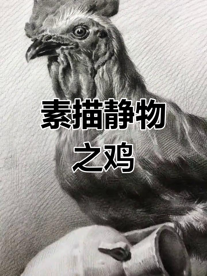 实验室里的静物素描,鸡你太美