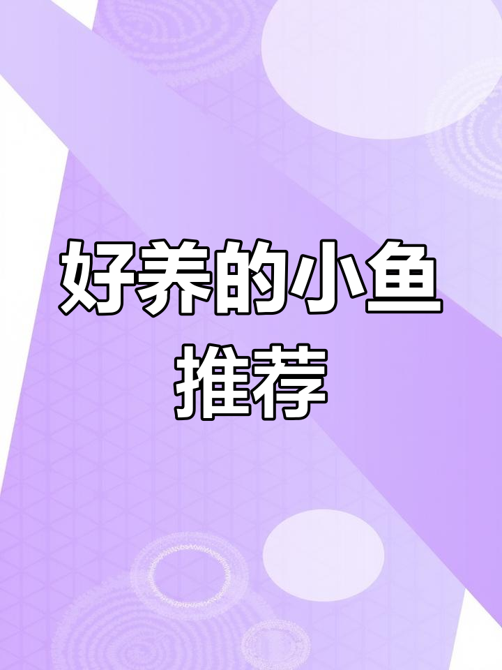 小鱼缸养什么?推荐这些好养的孔雀斗鱼品种