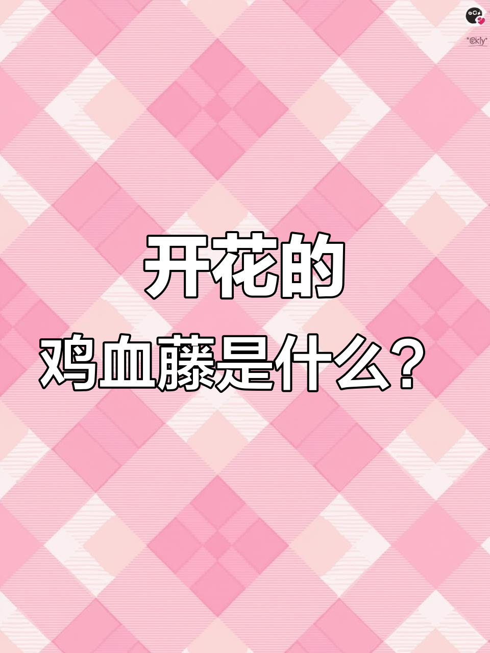 鸡血藤开花,品种揭秘!