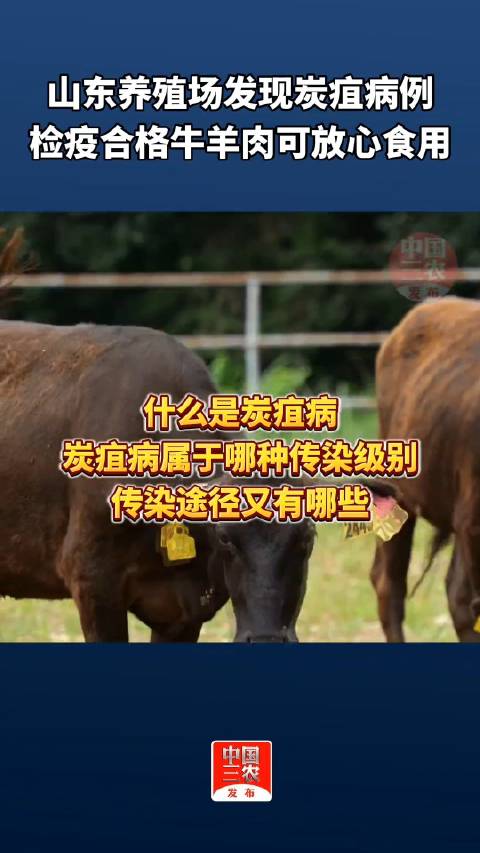 检疫合格牛羊肉可放心食用