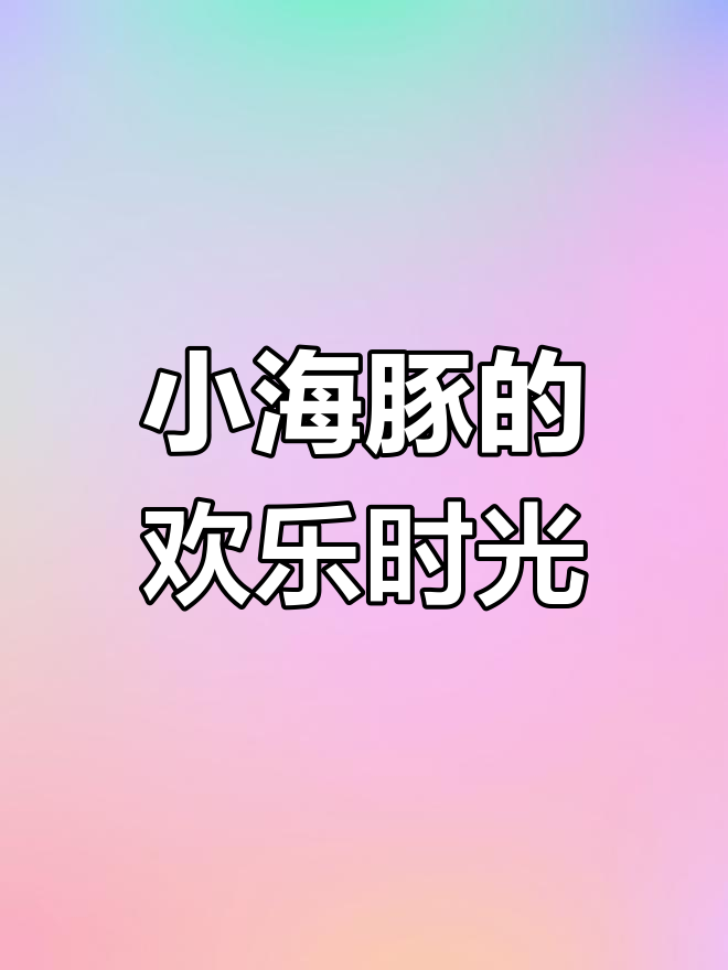 家里有只小海豚,互动超有趣!