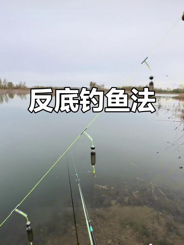 抛竿串钩新技巧,避免挂底更高效钓鲤草鱼