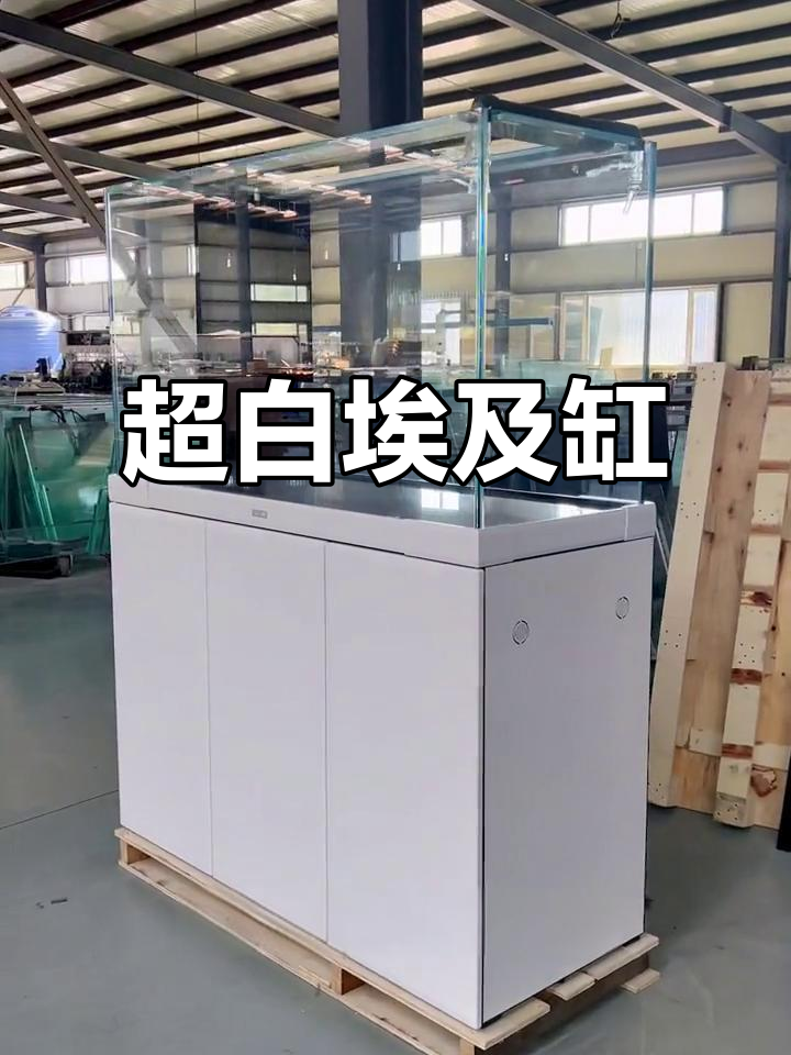 宝钻埃及缸:超白磁釉设计,定制龙鱼缸新选择