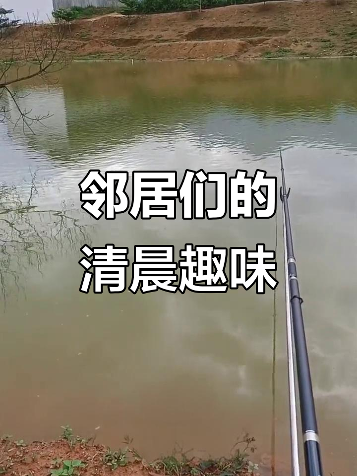 一群打龟佬搞笑日常,早晨的邻里趣事