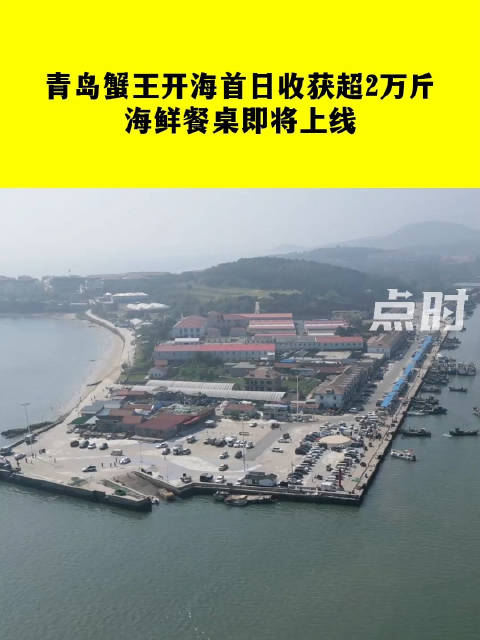 「青岛蟹王开海首日收获超2万斤」9月1日,山东青岛,随着为期4个月的伏季休渔期正式结束,青