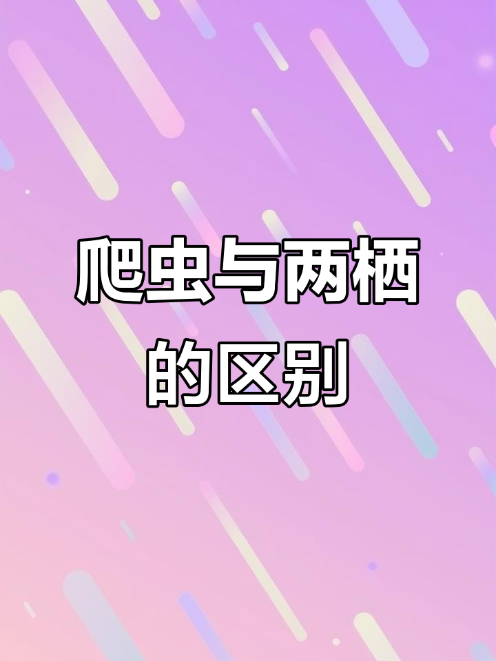 了解爬行动物与两栖动物的差异,探索蛇、蜥蜴和乌龟的秘密