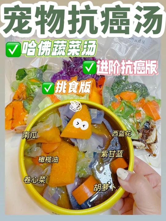 宠物营养:很抗癌的哈佛蔬菜汤「宠物改良版」