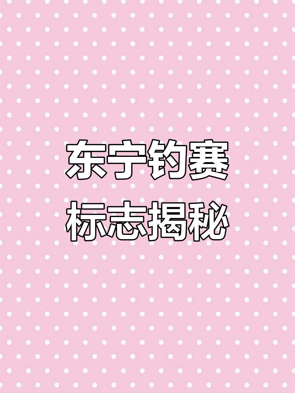东宁首届国际钓鱼大赛会标背后的故事