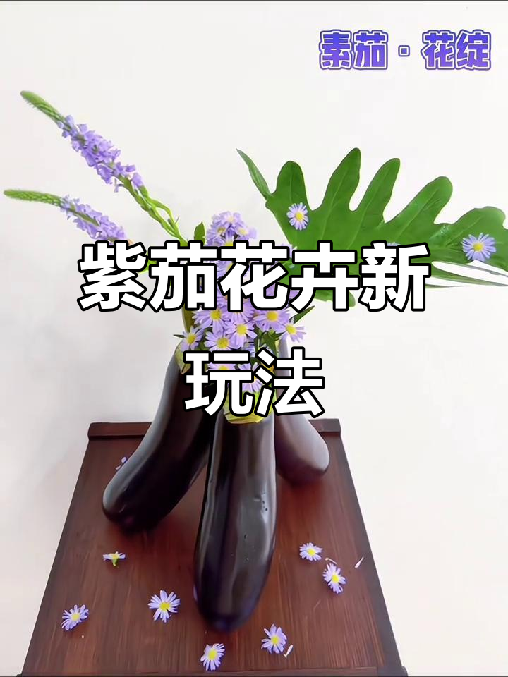 紫茄也能变浪漫,蔬菜插花创意大变身