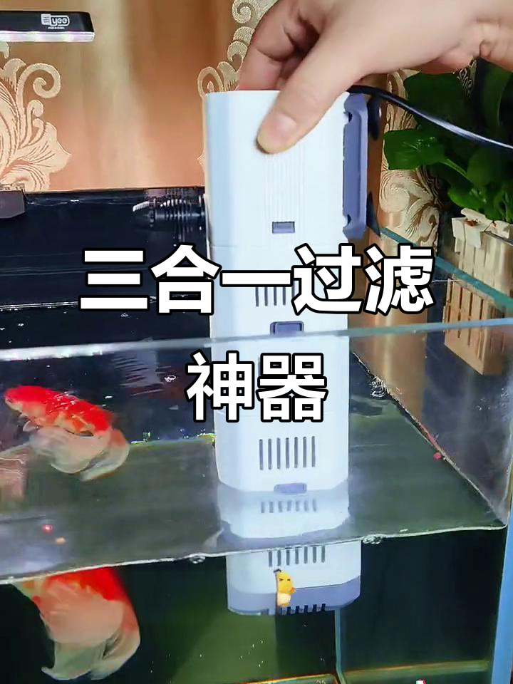 森森过滤器三合一，净水、增氧、造浪全搞定