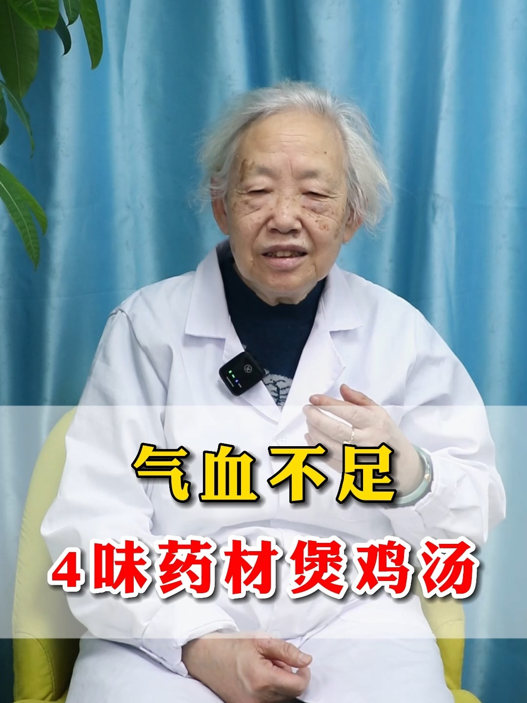 补气血4大药材,煲鸡汤效果加倍