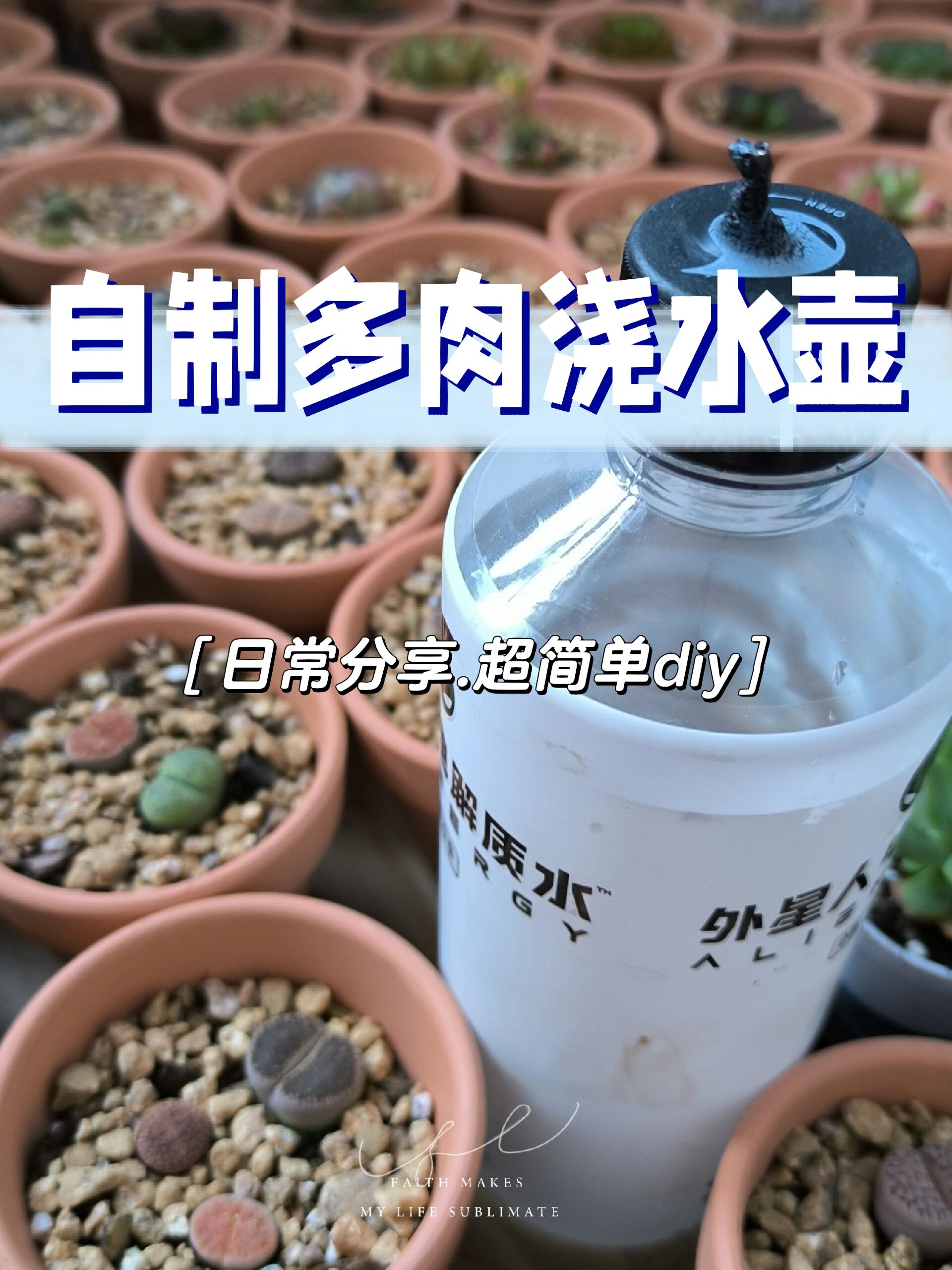 园艺工具|自制多肉浇水壶,超简单