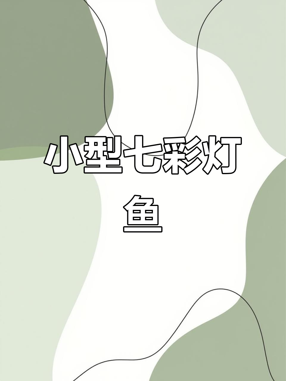 七彩水晶鳍鱼,透明感十足的微型奇迹