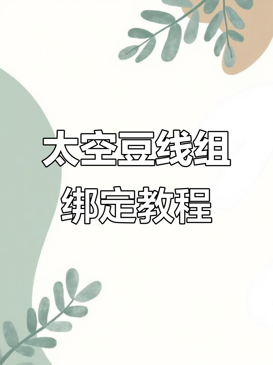 太空豆套装线组绑法全解析，轻松学会钓鱼技巧