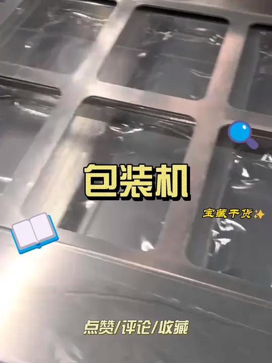 包装机 适用于各种肉类制品蔬菜水果海鲜等食品的包装