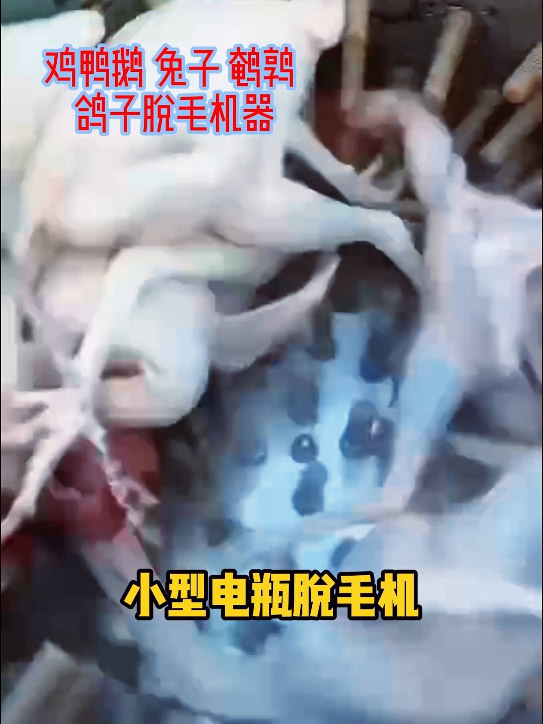 电瓶脱毛机 小型家禽脱毛机 大街